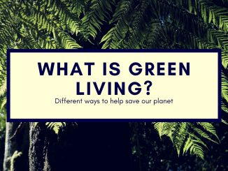 Ways to live a greener, healthier and more environmentally friendly life