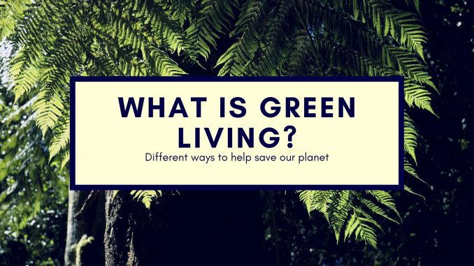 Ways to live a greener, healthier and more environmentally friendly life