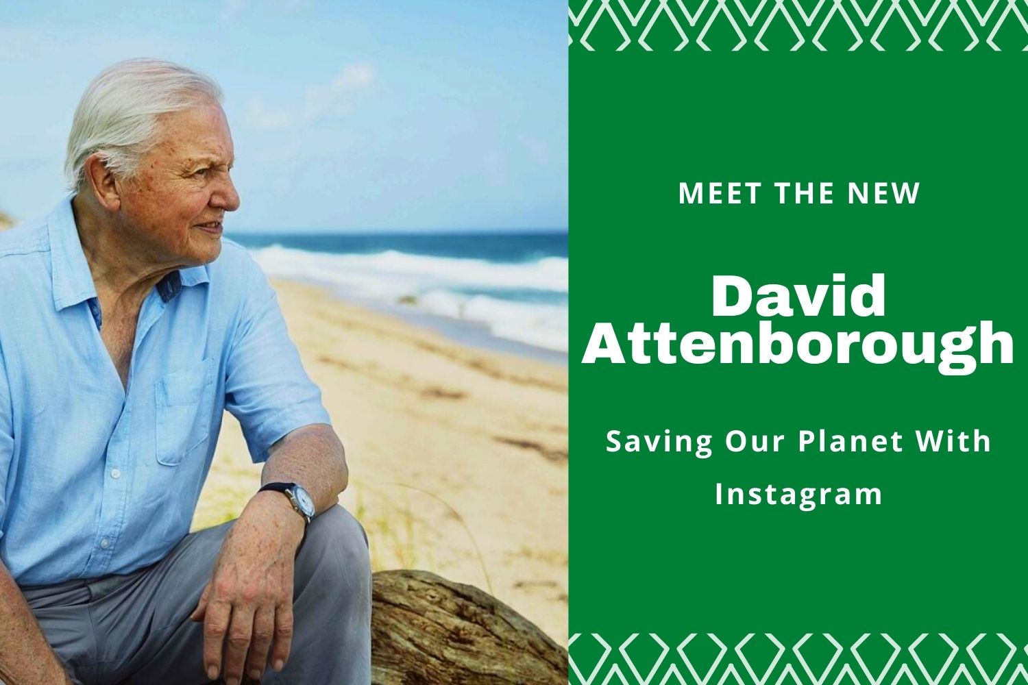 David Attenborough Saving Our Green Living Blog