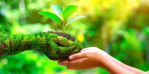 Adapt more Eco-Friendly Practices in your Life