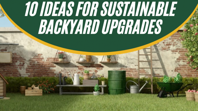 Top 10 Ideas for Sustainable Backyard Upgrades