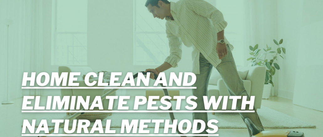 How To Keep Your Home Clean & Eliminate Pests With Natural Methods