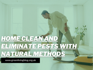 How To Keep Your Home Clean & Eliminate Pests With Natural Methods