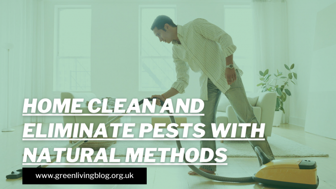 How To Keep Your Home Clean & Eliminate Pests With Natural Methods