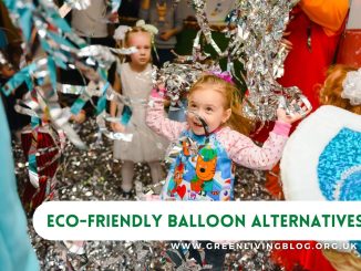 Sustainable-balloon-alternatives