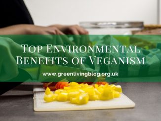Health-Benefits-of-Eating-Vegan