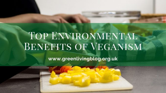 Top Personal & Environmental Benefits of Veganism Health-Benefits-of-Eating-Vegan