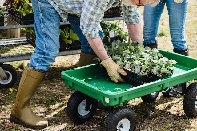 use-ecological-and-locally-produced-for-eco-friendly-lifestyle