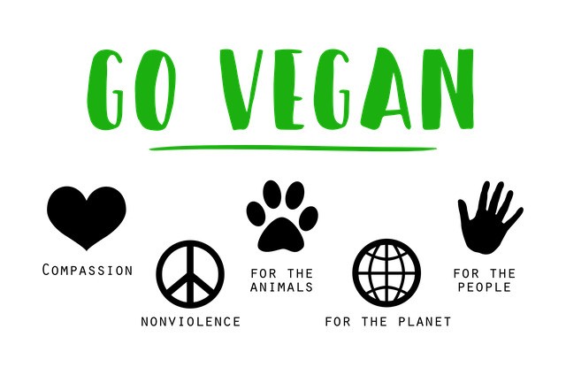 veganism-is-diet-that-excludes-meat-dairy-and-other-animal-products