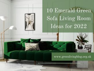 Great-green-sofa-ideas