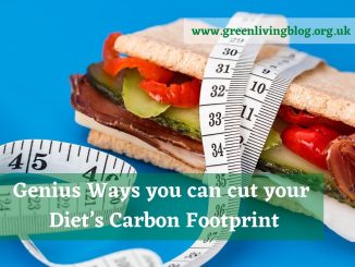 Nutrition-Tips-to-Reduce-Carbon-Footprint