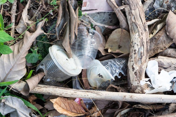 advantages-and-disadvantages-of-bioplastics