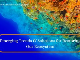 Decade-on-Ecosystem-Restoration