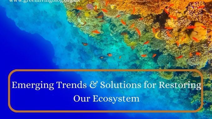 Emerging Trends & Solutions for Restoring Our Ecosystem Decade-on-Ecosystem-Restoration