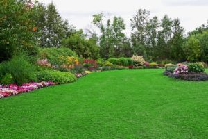 Sustainable-Landscaping-Guide