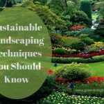 Sustainable-Landscaping