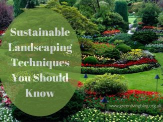 Sustainable-Landscaping
