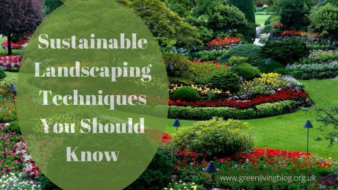 Sustainable Landscaping Techniques You Should Know Sustainable-Landscaping