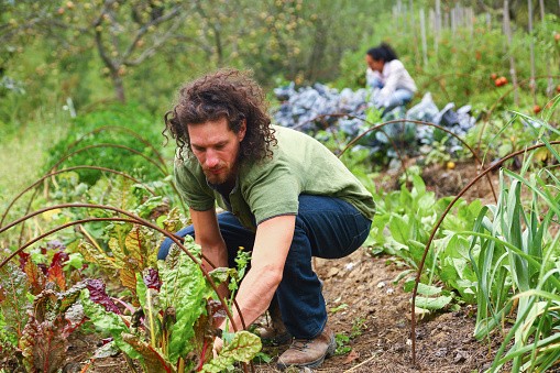 Use Permaculture Agricultural Practices