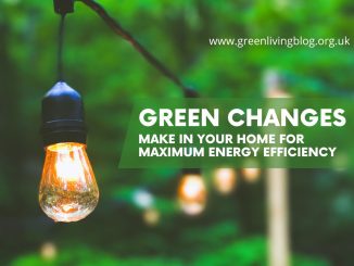 how-to-make-home-energy-efficient-and-green