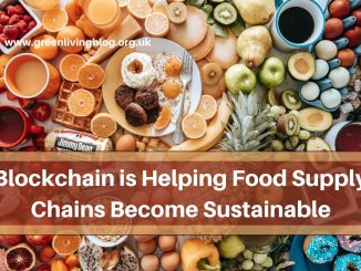 Blockchain-as-sustainability