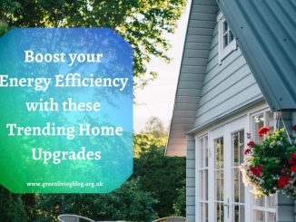 Home-Energy-Efficiency-Improvements