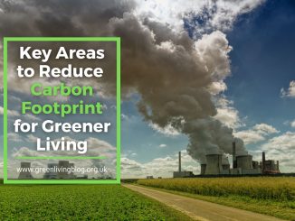 How-to-Reduce-Carbon-Footprint-for-Greener-Living