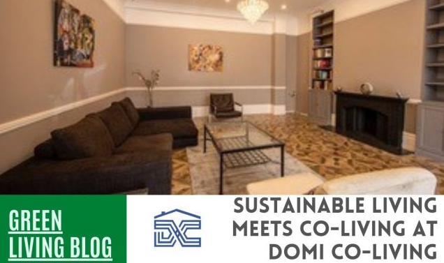 sustainable-living-meets-co-living-at-domi-co-living