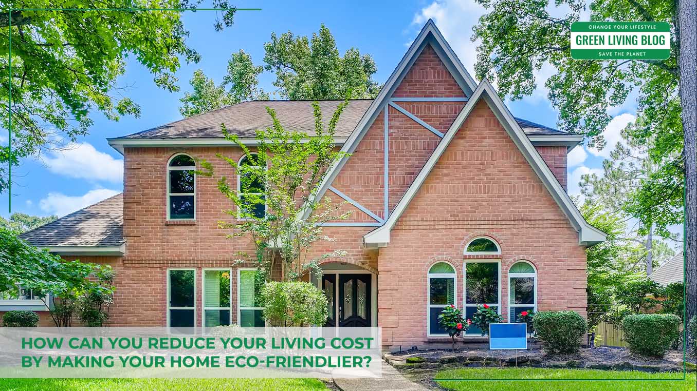 How To Reduce Living Cost By Making Home Eco Friendlier 