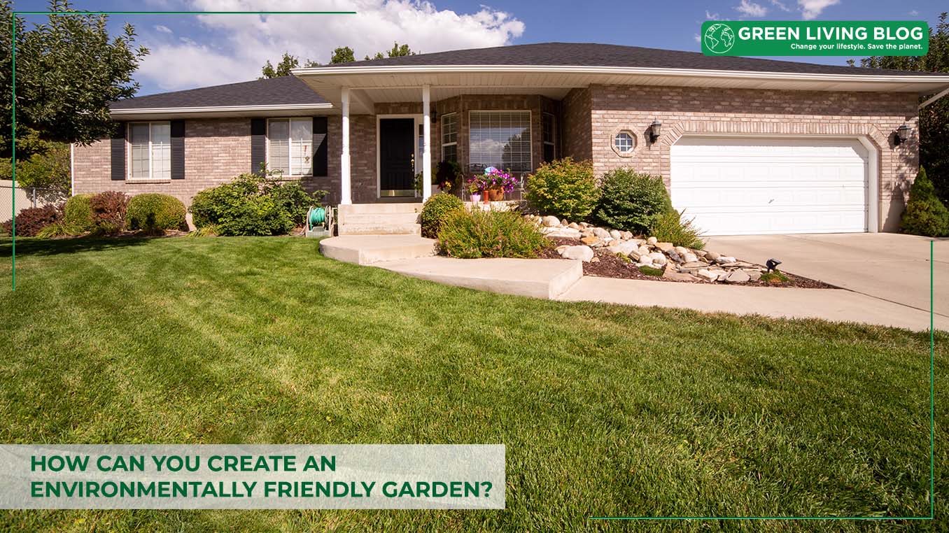 Picture of How can you create an Environmentally Friendly Garden?