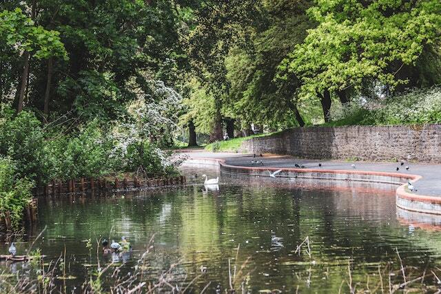 why-is-biodiversity-conservation-and-ecosystem-restoration-important