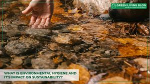what-is-environmental-hygiene