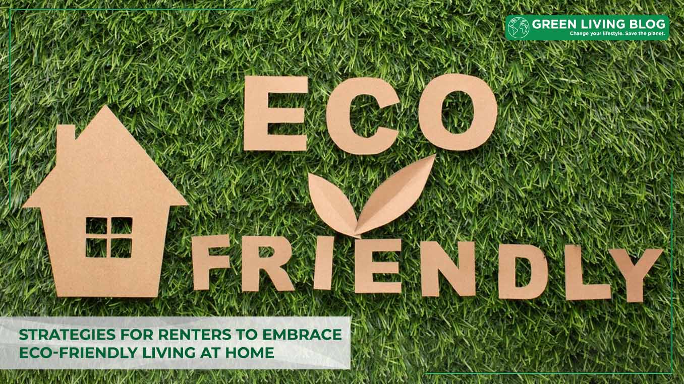 6 Simple Strategies for Renters to Embrace Eco-Friendly Living at Home