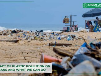 impact-of-ocean-plastic-pollution