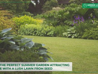 create-perfect-summer-garden-with-lawn-from-seed