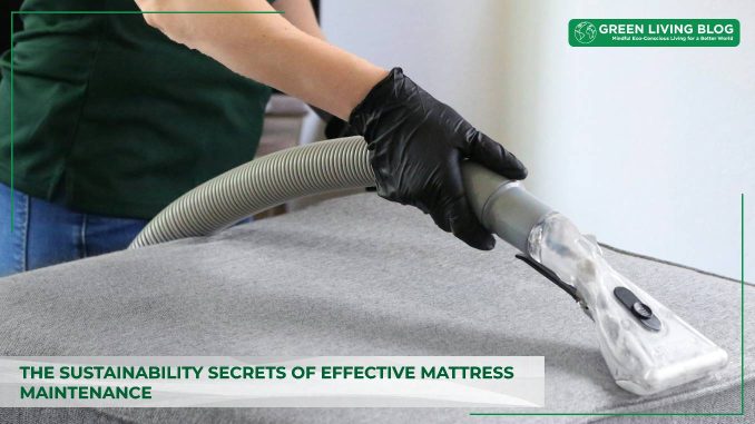 sustainability-secrets-of-mattress-maintenance.