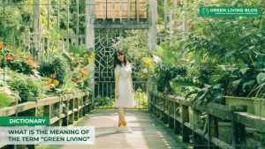 green-living-meaning