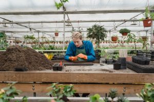 grow-your-own-food-for-sustainable-lifestyle