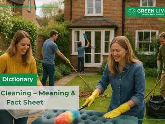Spring-Cleaning-Meaning-&-Fact-Sheet