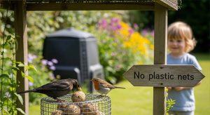 tips-for-feeding-fat-balls-to-your-garden-birds