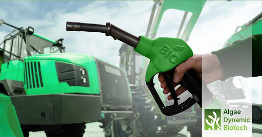 algae-dynamic-biotech-advances-industrial-biofuel.