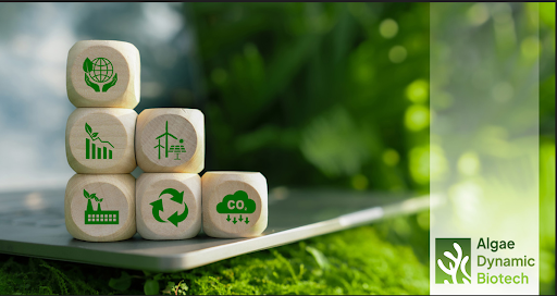 algae-dynamic-biotech-pioneers-high-efficiency-algae-fuel