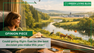 Could going flight-free be the best decision you make this year