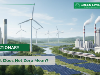 What-Does-Net-Zero-Mean