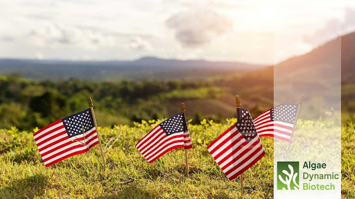 algae-dynamic-biotech-parses-45Z-credit-rules