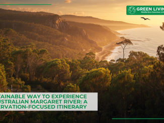 a-sustainable-way-to-experience-the-australian-margaret-river-a-conservation-focused-itinerary