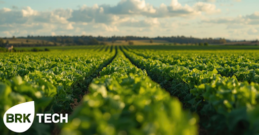 brk-tech-reports-eu-agriculture-commissioner-hansen-backs-biofuel-boost-for-farmers