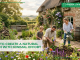how-to-create-a-natural-garden-with-minimal-Effort