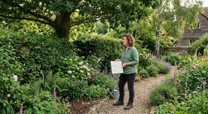 homeowner-carefully-assessing-an-existing-garden-with-mature-trees